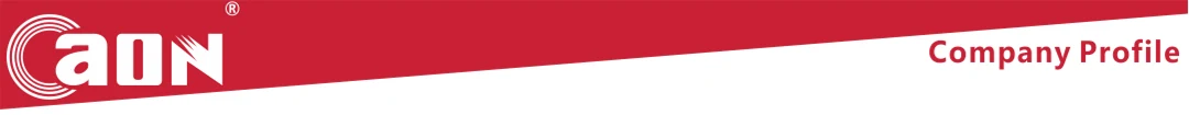 企业简介-en.webp